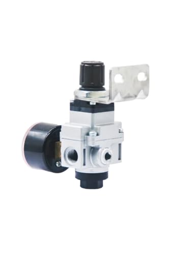 Vanne de régulation de pression pour circuits de vide et modèle NVR200-02BG