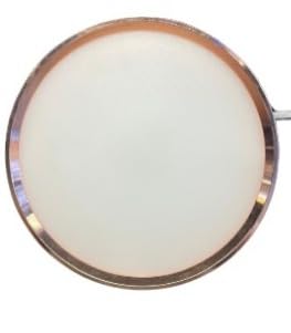 M BAGRA Lights 12 Watts Antique Metal Finish Round LED Surface Panel, Slim Round Ceiling Lamp Panel Light/Roof Light