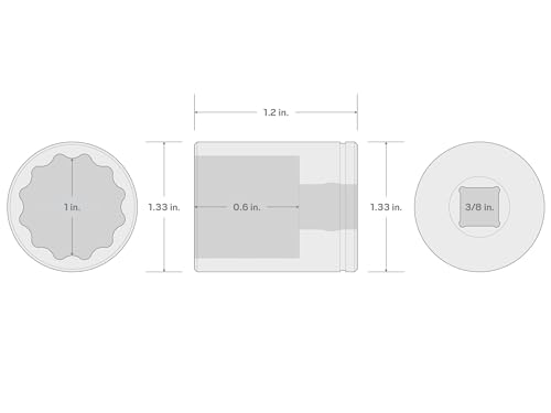 Image of TEKTON 3 /8 Inch Drive x 1 Inch Shallow 12-Point Socket | SHD12225