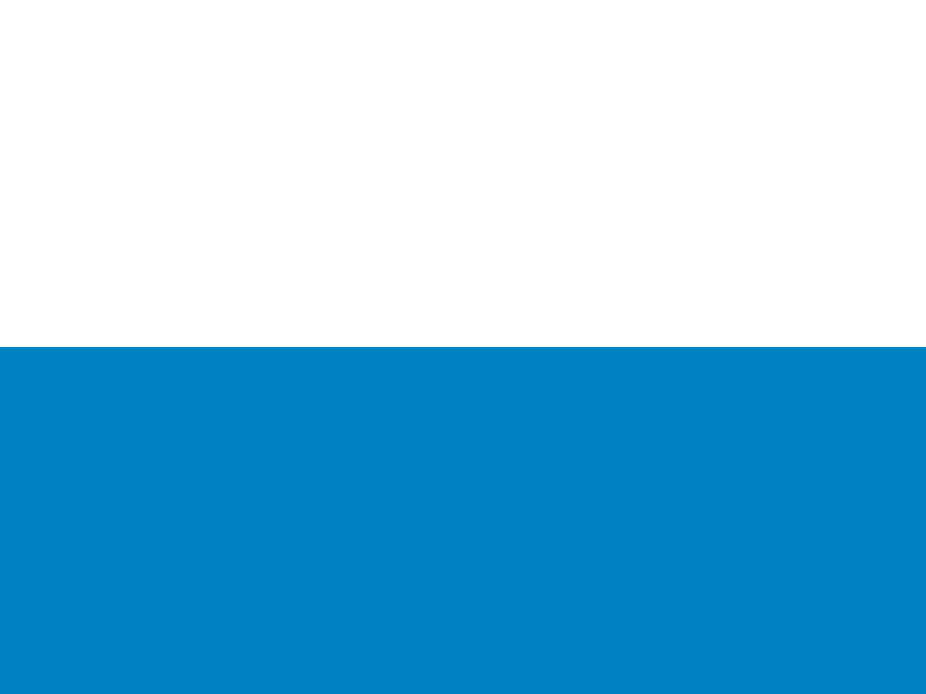 Drapeau San Marino civil historique pavillon grand format pre-2011