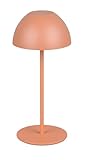 Reality Leuchten Ortiz R55601140 - Lámpara LED de mesa para exteriores (batería de plástico, incluye LED de 2 W, encendido/apagado)