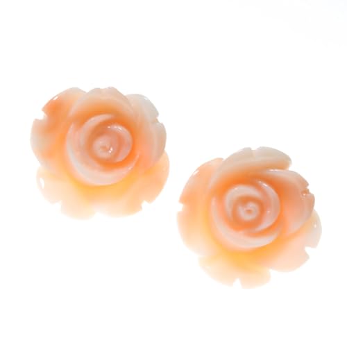 珊瑚 薔薇 ピアス」の人気商品一覧 | 安い商品を通販サイトから