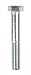 Bx/25 x 1: Hillman Cap Screw (200369)