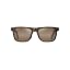 Matte Dark Havana/Hcl Bronze Polarized