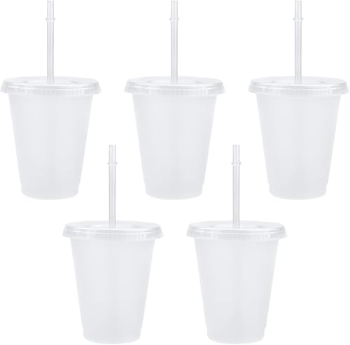 5Pcs 500ml Iced Water Cups with Lids & Straws - Cold Drinking Tumblers Plastic Tumbler Set Reusable & BPA Free Plastic Cup Slushie Cup Coffee Smoothie Slushy Drinking Cup Party Cups for Kid Adults