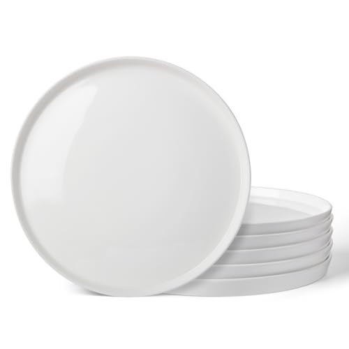 DOWAN 10' Porcelain Dinner Plates Set of...