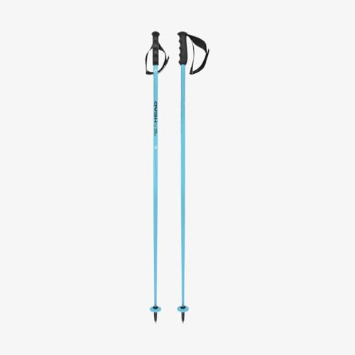 Fascia in velcro Race HEAD Worldcup SL, Bastoni da Sci Unisex Adulto, Speed Blue/Nero/Bianco, 135