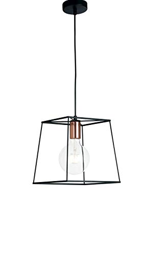 Fan Europe Lighting - Fan Europe harlem Drahtgestell Pendelleuchte Schwarz 25x25x205cm