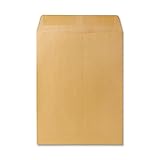 Quality Park Large Format/Catalog Envelopes, 9.5 x 12.5 inches, Brown Kraft, Box of 250 (QUA41565)