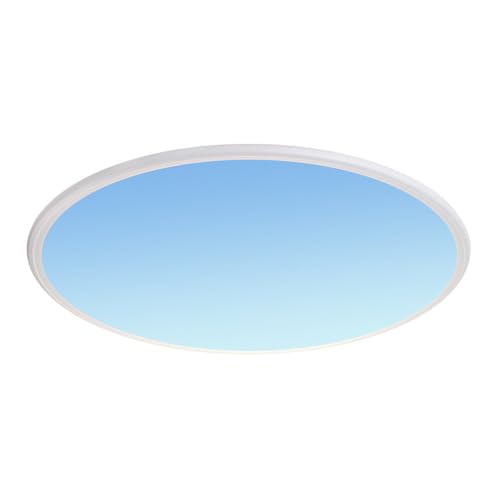 Generico Plafoniera Lampadari a Soffitto Lampada da Soffitto LED Rotonda Dimmerabile con Luce Blu Cielo Trasparente Montata A Vista per Corridoio Soggiorno Cucina Ingresso Scale
