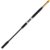 Ugly Stik Bigwater Conventional Fishing Rod, Black/Red/Yellow, 10' - Extra Heavy - 40-80lb - 2pc