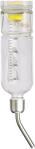 Trixie Honey and Hopper Glass Water Bottle, 250 ml