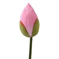 21Py-A590FL._SS200_.jpg