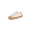 Beige/Transparent