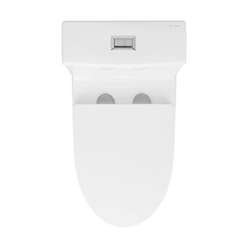 Dreux One Piece Elongated Dual Flush Toilet With 0.95/1.26 Gpf #TOP4