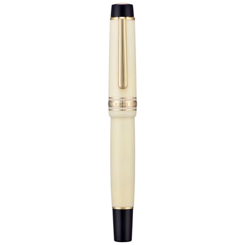 Stylo-plume à piston idéal pour l'écriture de votre journal