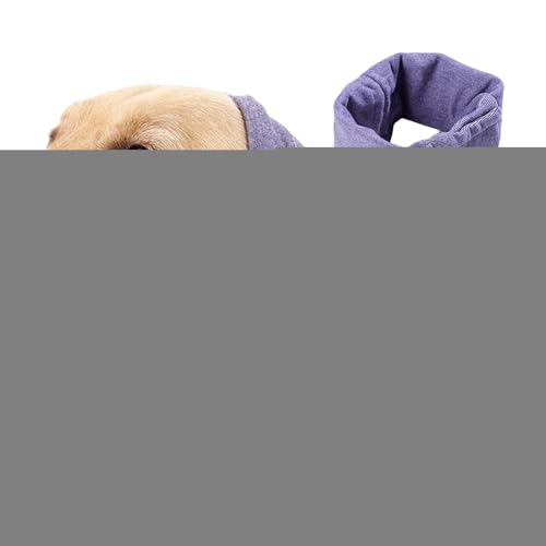 pJo[Abv,pXk[h | ̃PAAXgX̂߂̌XJ[tACO[~Ô߂̃ybgt[hAh~