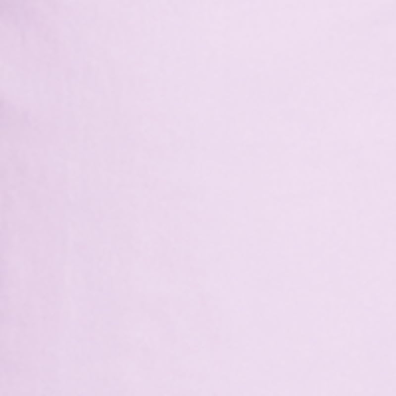 Women's Trendy Plus Size Pull-On Chino Pants (Calla Lilac, 2X)2