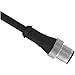 MQDMC-430, Cordset; M12 Male Straight 4 Pin to Cut end, 10M, PVC Black, 02954