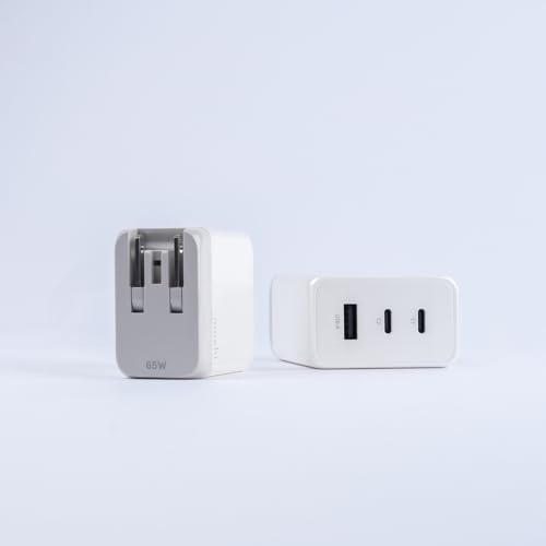 Moshi Rewind USB-C GaN Charger (65W)
