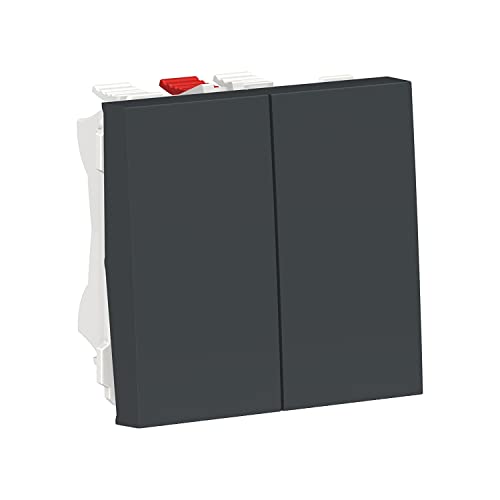 Doble conmutador Schneider NU321354 interruptor de dos módulos color antracita