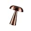 Bronze