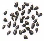 Kalonji Onion Seeds/nigella/black Seed 14oz