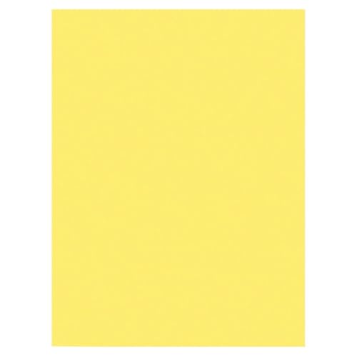 Image of Prang Construction Paper, 9 inch x 12 inch, Yellow, 50 /Pack, 50 Packs | Formerly SunWorks, Class Pack, 2500 Sheets Total, P8403