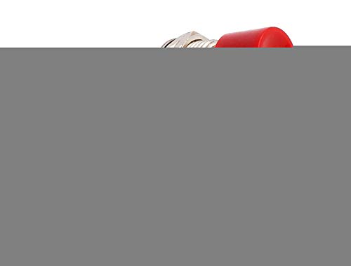 Micro interrupteur momentané SPDT 250V 16A avec levier rouge - 2