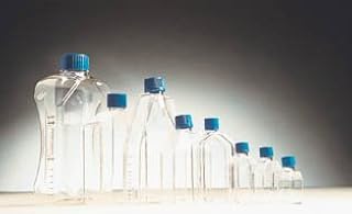 BD Falcon Tissue Culture Flasks (Case of 60)