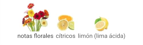 Nebras - 6ml (.2 oz) Perfume Oil by Al-Rehab (Crown Perfumes)