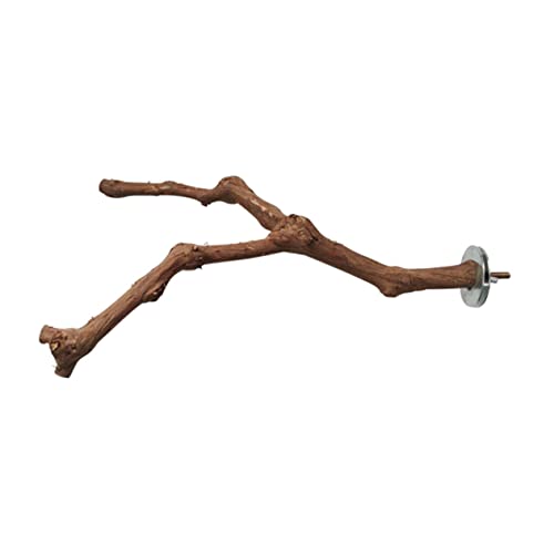 GREENADSCAPE 1 Pieza de Varilla de Percha para Loros Juguete de Entrenamiento para Pájaros Barra de Madera de Pie Juguete para Mascotas para Loros Textura Natural Y Ambiente de Percha Cómodo