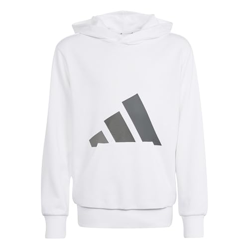 adidas Unisex Kinder Essentials BIG Logo Hoodie, White/Grey Three/Grey Four/Grey Five, 9-10 Years