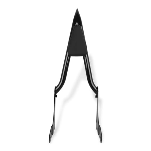 Porte-bagages arrière avec sissy bar pour Rebel 500 et 300 CMX