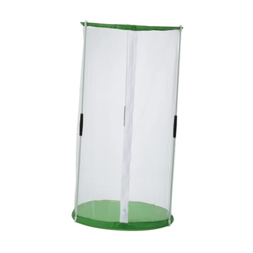 Bothyi Gabinete de Borboleta de Gaiola de Gaiola de Borboleta, 30cmx60cm