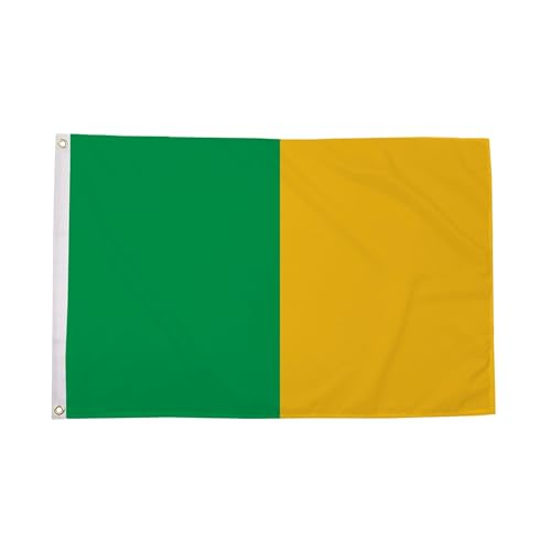 Bandera grande del condado irlandés Flagtex lavable que no pierde el color