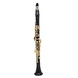 Tono Sib: Diseñado para el tono Sib, este clarinete ofrece un sonido único que destaca en su categoría.