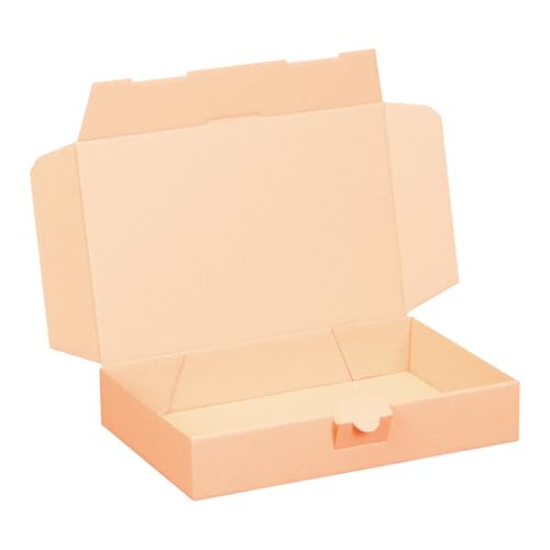 smiley pack Maxibriefkarton DIN A5 240 x 160 x 45 mm – brauner stabiler Versandkarton mit...