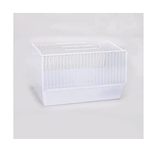  BS̒|[^uybg̒̒̃LAanEX^Op̌yʂ̒̃LA |[^u