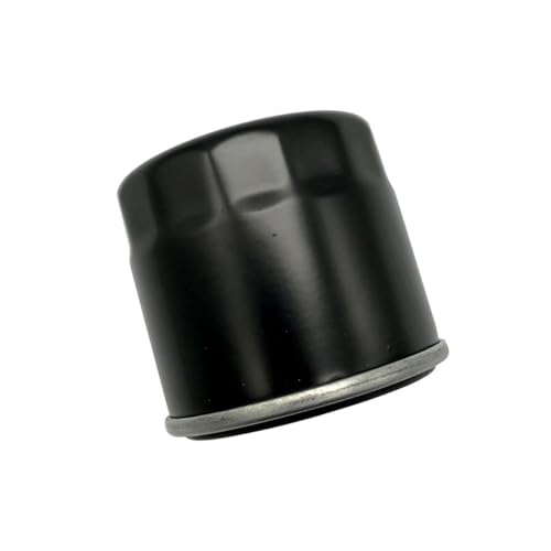 Filtre à carburant contre la panne moteur de votre UTV HS500 ou quad 700