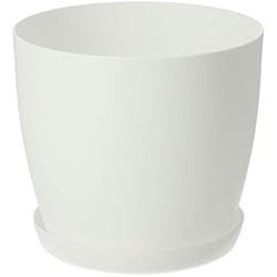 Maceteros Blancos Bajos KADAX Maceta con plato, maceta redonda de plástico, maceta mate para cactus, helechos, maceta brillante para balcón, apartamento y terraza (12 cm, blanco)