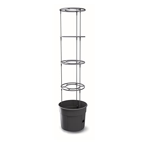 Tomatentopf Botle für Tomatenpflanze – Blumentopf mit Bewässerungssystem