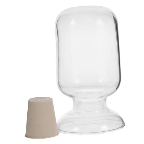 Ciieeo Glass Storage Bottle Reusable Sample Jar with Stopper for Home and Laboratory Use Versatile Glass Display Bottle for Various Samples