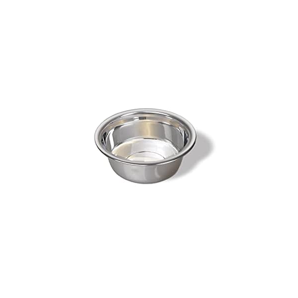 Van Ness Pets Small Lightweight Stainless Steel Dog Bowl, 16 OZ Food And Water Dish