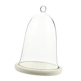 En verre pour fleurs - comprend un en verre transparent pour exposer des plantes artificielles, des fleurs, etc., décoration de terrarium