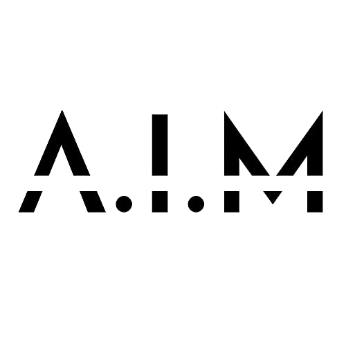 AIM - ASCEND IN MIND cover art