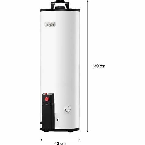La Mejor comparativa de Calentador g60 calorex Top cinco. 3 Imagen adicional