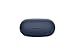 immagine 10Sony WF-XB700 - Cuffie Bluetooth senza fili, True Wireless, Extra Bass con microfono integrato e autonomia fino a 18 ore (Blu)