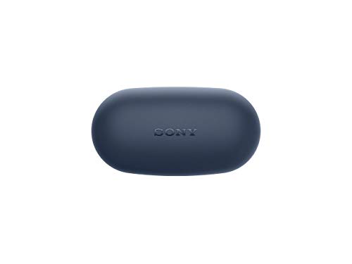 Sony WF-XB700 - Cuffie Bluetooth senza fili, True Wireless, Extra Bass con microfono integrato e autonomia fino a 18 ore (Blu)