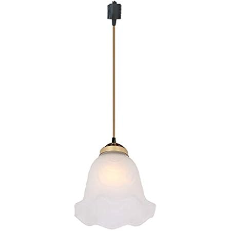 Amazon Kiven ペンダントライト 天井照明 1灯 スリガラス 花びら お花模様 ライト 照明器具 北欧デザイン おしゃれ リビング用ライト トイレ ダクトレール式 工事不要 E26 Led電球対応 Kiven ペンダントライト